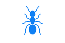 Ants