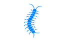 Centipedes