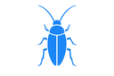 Cockroaches