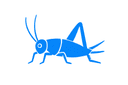 Crickets