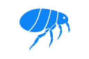 Fleas