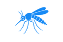 Mosquitoes