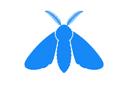 Moths