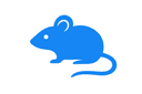 Rodents