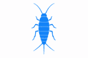 Silverfish