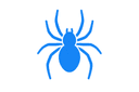 Spiders