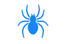Spider Control