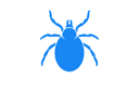 Ticks