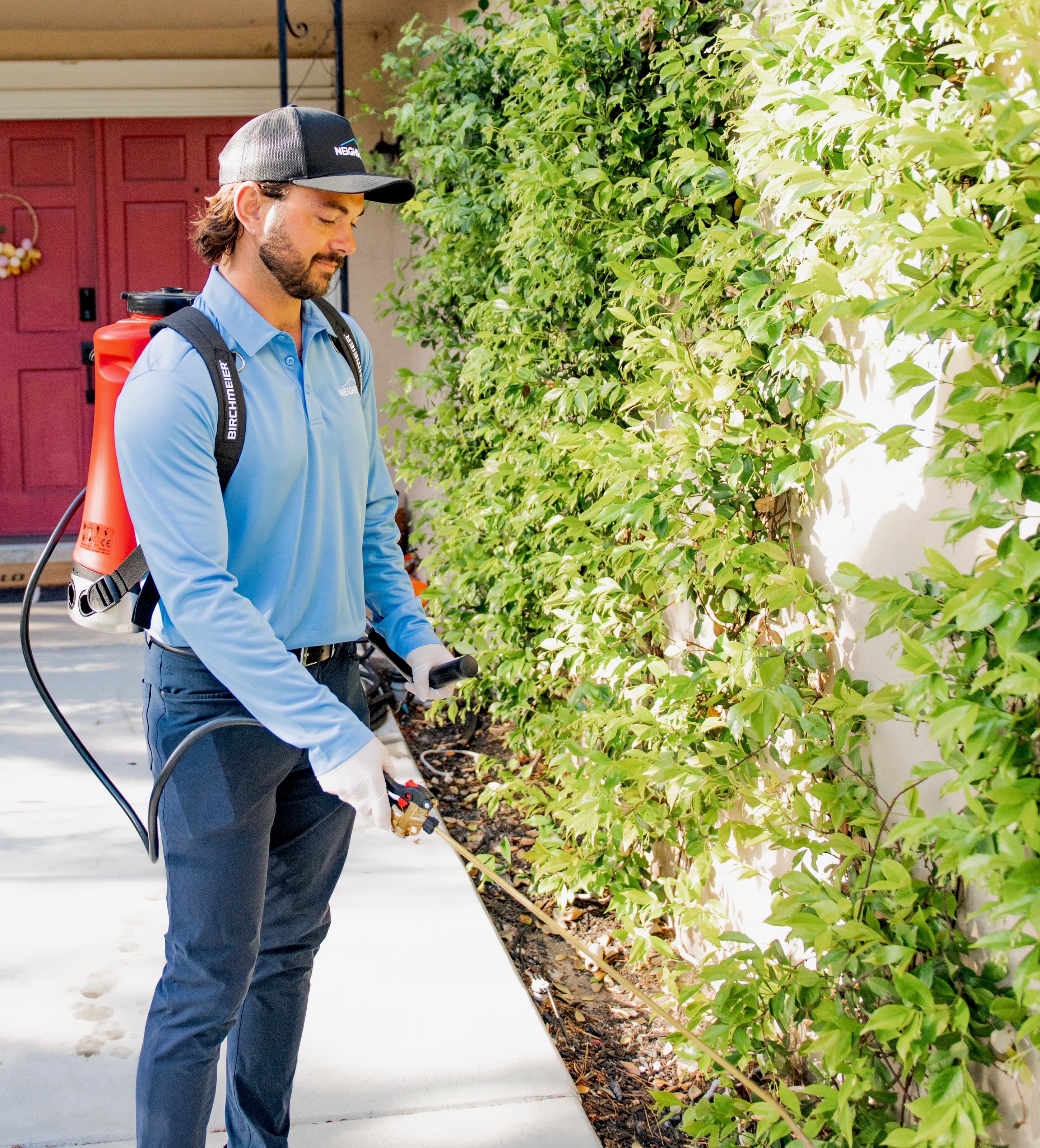 Bed Bug Treatment San Diego, CA