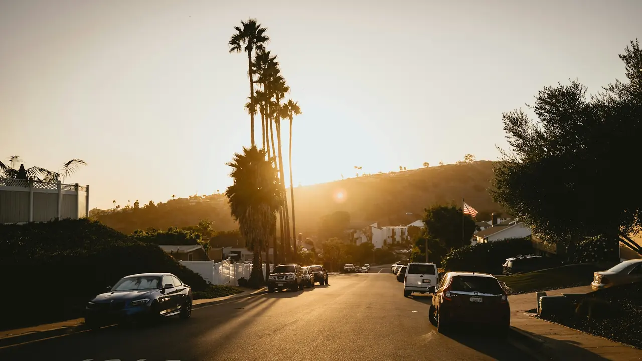 Palm-lined residential street at sunset in San Diego