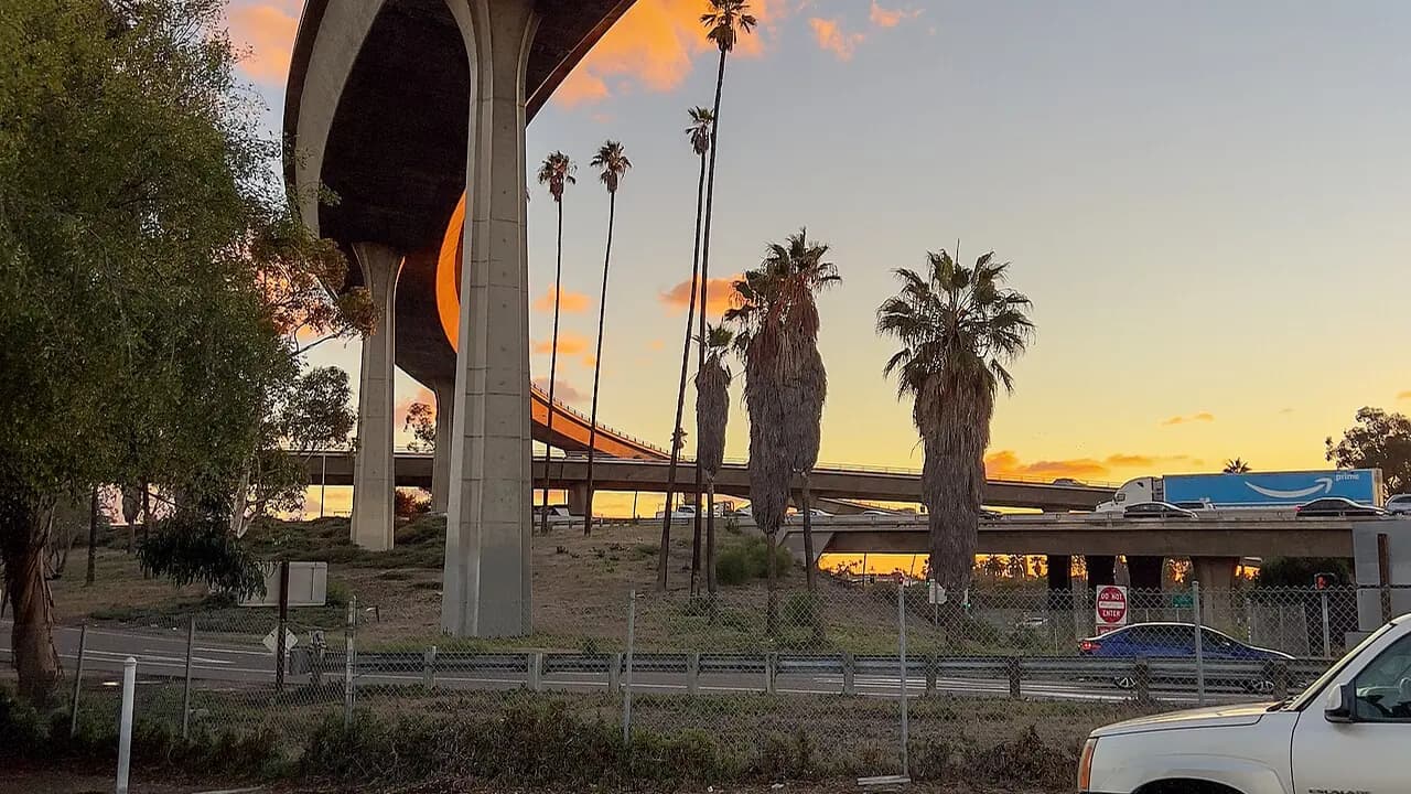 Palm trees at sunset near Interstate 805 in National City
